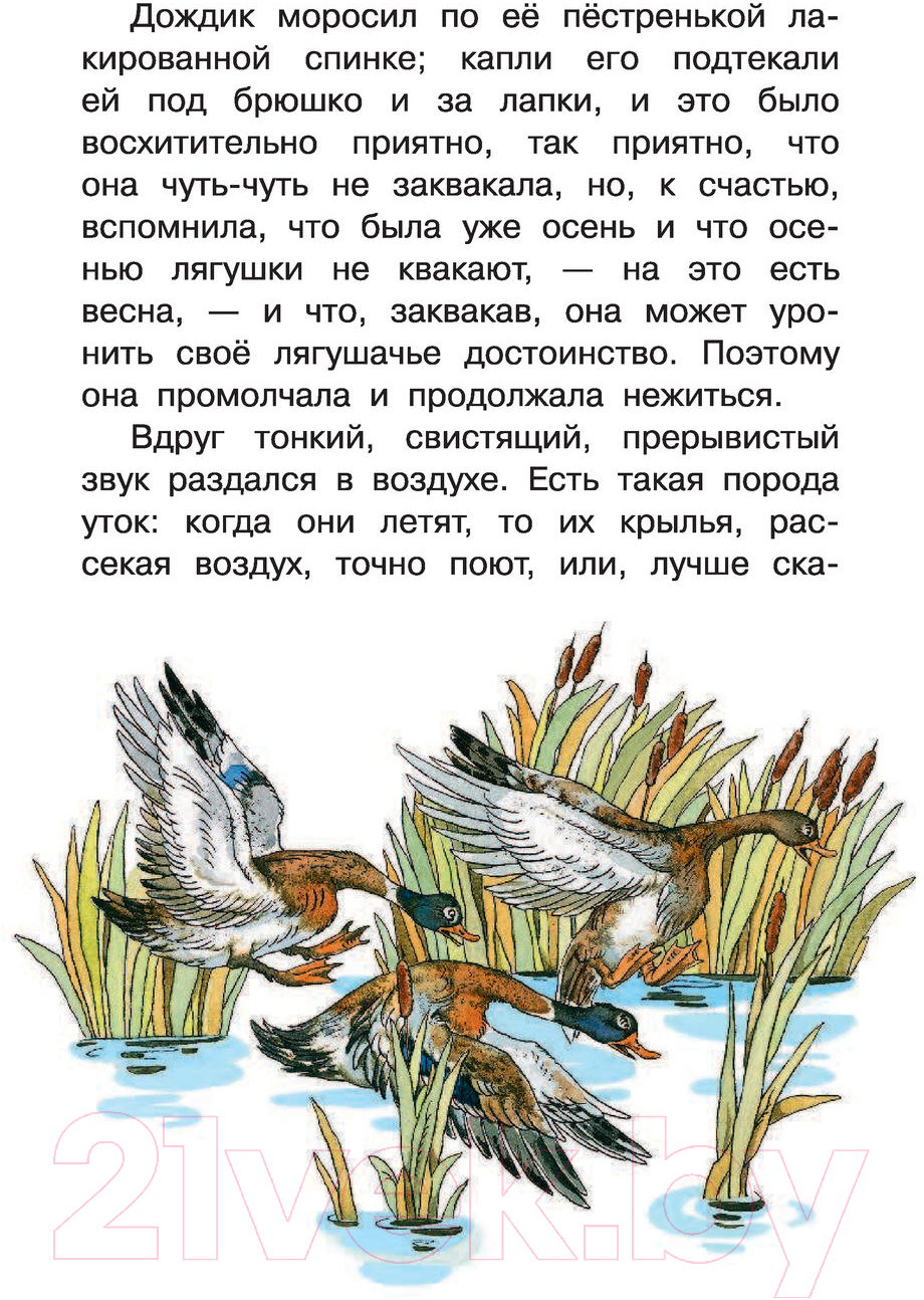 Художественная книга АСТ Лягушка-путешественница и другие сказки о животных — фото 4