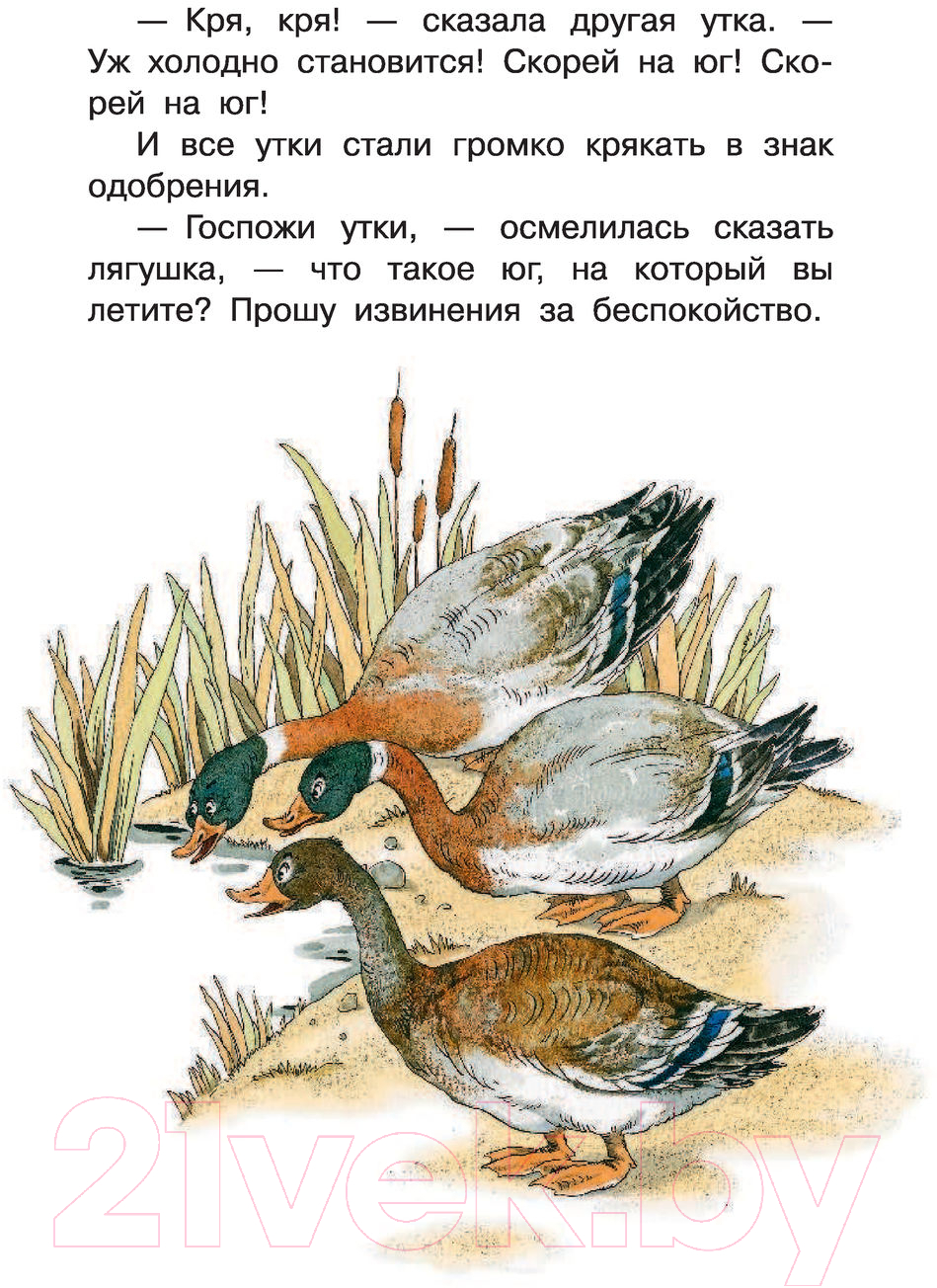 Художественная книга АСТ Лягушка-путешественница и другие сказки о животных — фото 6