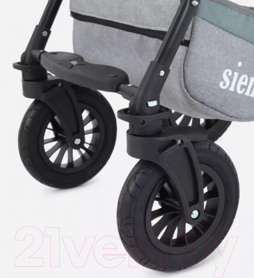 Детская универсальная коляска Rant Siena 2 в 1 (09 серый/зеленый)