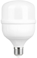 

Лампа БЭЛЗ, LED-M Т100 30 W 6500 K E27 Р / 41839