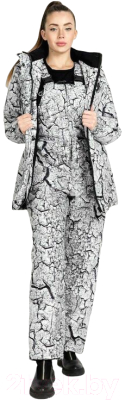 Комплект лыжной одежды Crodis Хаски / 11661 (р.40-42/158-164)