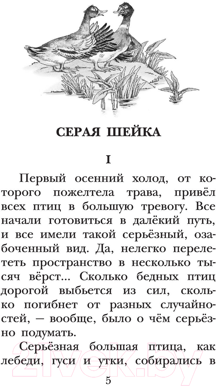 Художественная книга АСТ Серая Шейка. Сказки (Мамин-Сибиряк Д.Н., Казбекова Л.Л.) — фото 6