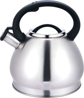 Чайник со свистком Astiat AST1035 (3.5л) - 