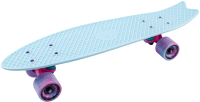 

Пенни борд, Fishboard 23 TLS-406