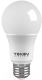 Лампа Tokov Electric Light 9Вт G45 6500К Е27 176-264В / TKL-G45-E27-9-6.5K - 