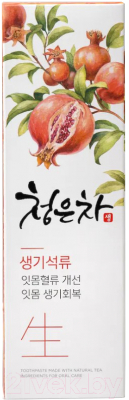 Зубная паста KeraSys Dental Clinic 2080 Chungeun Cha Gum Восточный чай гранат (120г)