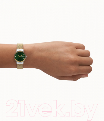 Часы наручные женские Skagen SKW3068
