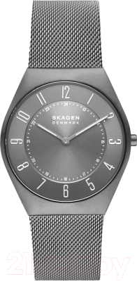 Часы наручные мужские Skagen SKW6824