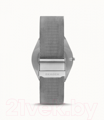 Часы наручные мужские Skagen SKW6829