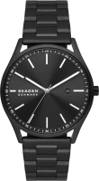 Часы наручные мужские Skagen SKW6845 - 