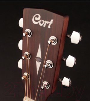 Акустическая гитара Cort EARTH-Bevel-CUT-OP
