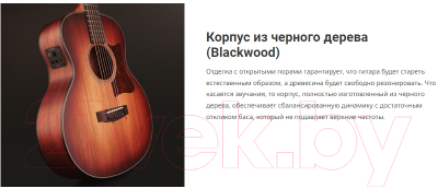 Электроакустическая гитара Cort Little-CJ-Blackwood-OPLB (с чехлом)
