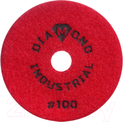 Шлифовальный круг Diamond Industrial DIDCHSH100