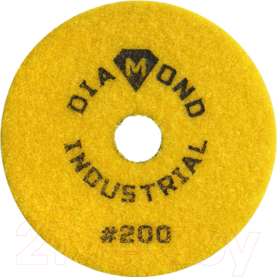 Шлифовальный круг Diamond Industrial DIDCHSH200