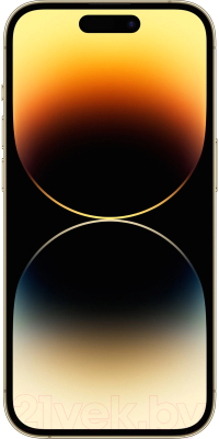 Изображение товара Смартфон Apple iPhone 14 Pro Max 256GB / MQ8V3 (золото)