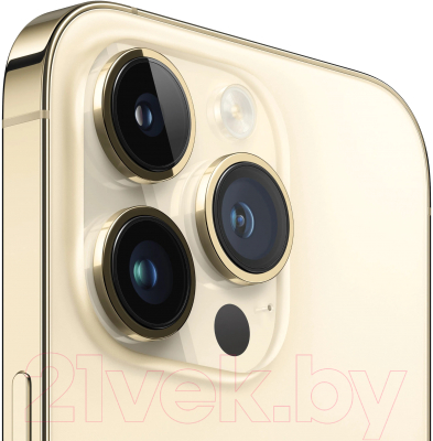 Изображение товара Смартфон Apple iPhone 14 Pro Max 256GB / MQ8V3 (золото)