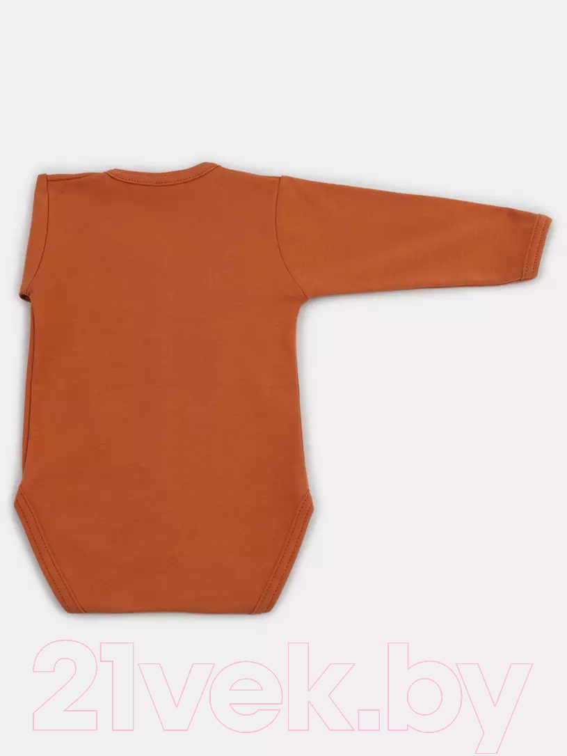 Боди для малышей Rant Hugs And Kisses С длинным рукавом / 6472/1-68 (Curry Brown, р.68) — фото 4