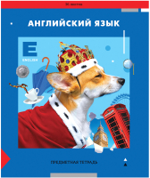 

Тетрадь предметная ArtSpace, Пять в квадрате. Английский язык / Тп36к_47959