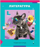 

Тетрадь предметная ArtSpace, Пять в квадрате. Литература / Тп36л_47969