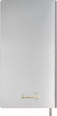 Записная книжка Escalada Плонже / 57715 (металлик серебристый)