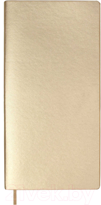 Записная книжка Escalada Плонже / 57716 (металлик золотистый)