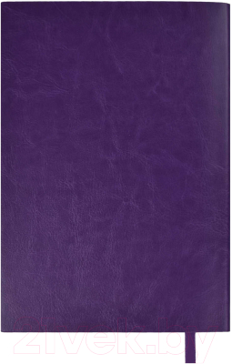 Ежедневник Escalada Сариф / 47407 (фиолетовый/серебристые клепки)