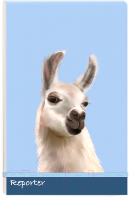 Изображение товара Записная книжка Феникс+ Альпака / 50683