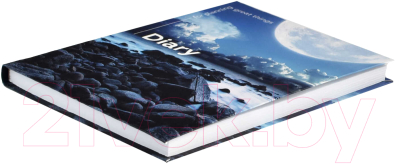 Изображение товара Записная книжка Феникс+ Большие планы / 61516