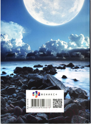 Изображение товара Записная книжка Феникс+ Большие планы / 61516