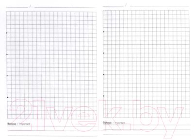 Изображение товара Записная книжка Феникс+ Большие планы / 61516