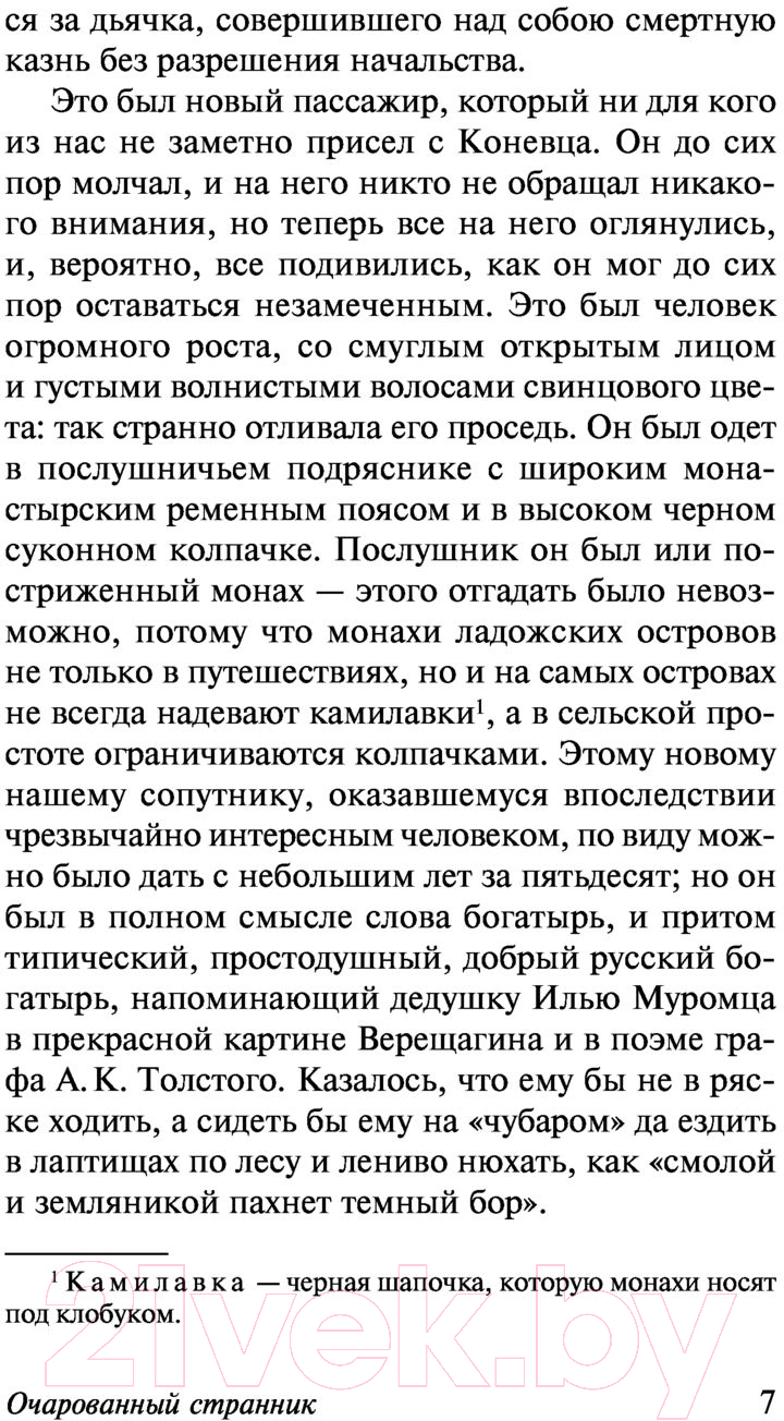 Художественная книга АСТ Очарованный странник. Эксклюзив Русская классика (Лесков Н.С.) — фото 6
