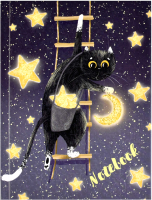 

Записная книжка, Звездочет / 61556