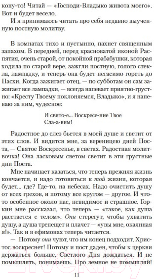 Художественная книга Азбука Лето Господне (Шмелев И.) — фото 6