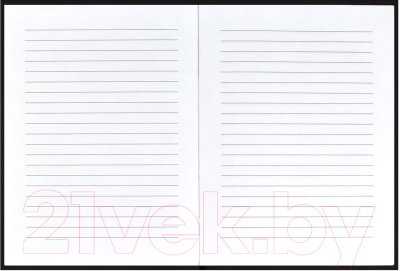 Изображение товара Записная книжка Феникс+ Яркий неон / 61560