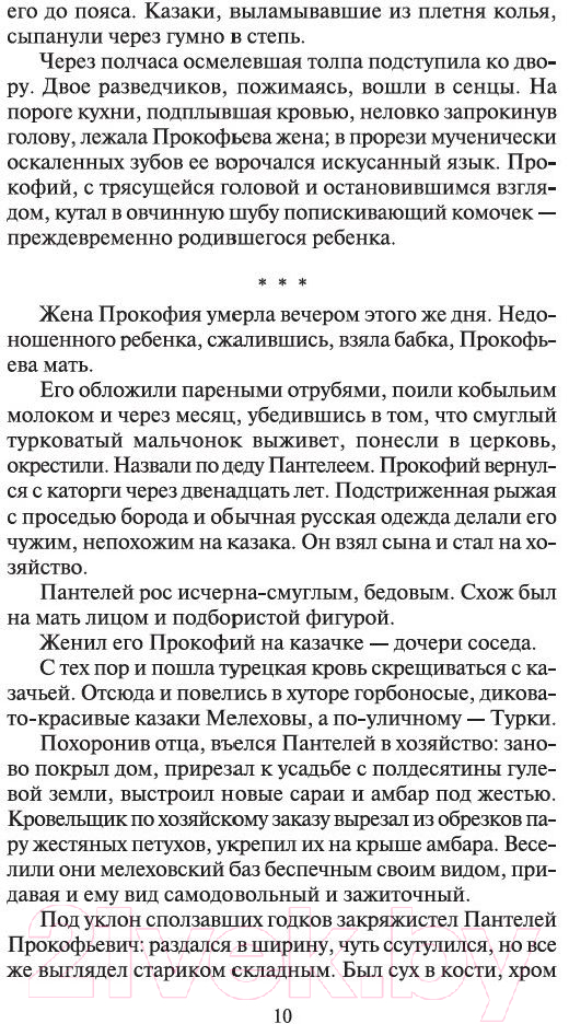 Набор художественных книг Азбука Тихий Дон в 2-х книгах (Шолохов М.) — фото 5