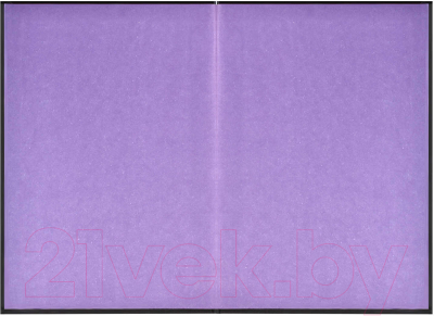 Изображение товара Записная книжка Феникс+ Кристаллы / 61617