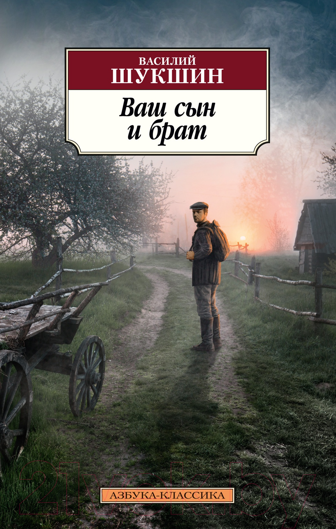 Художественная книга Азбука Ваш сын и брат (Шукшин В.) — фото 1