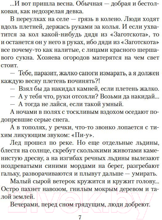 Художественная книга Азбука Ваш сын и брат (Шукшин В.) — фото 6