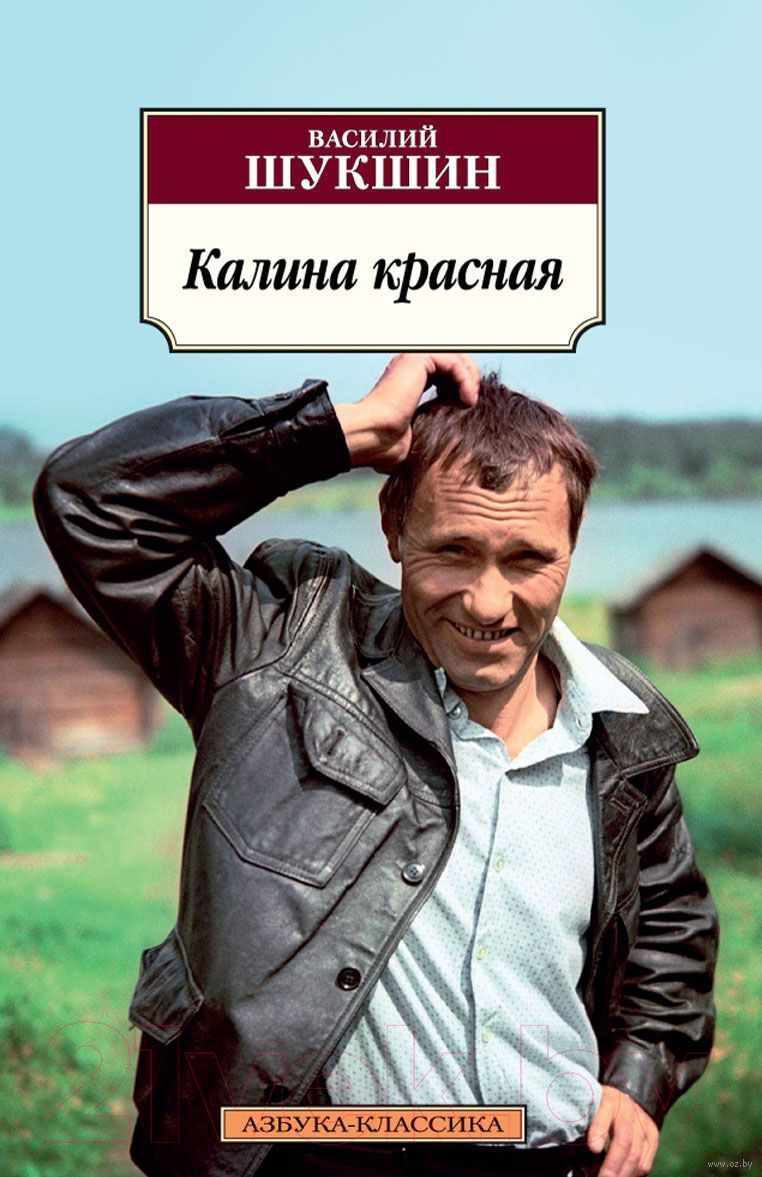 Художественная книга Азбука Калина красная (Шукшин В.) — фото 1