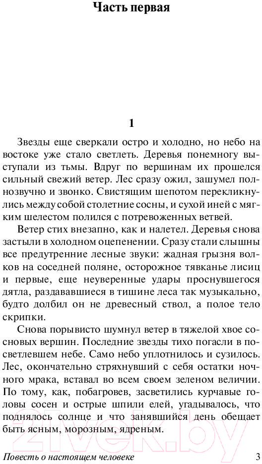 Художественная книга АСТ Повесть о настоящем человеке (Полевой Б.Н.) — фото 4