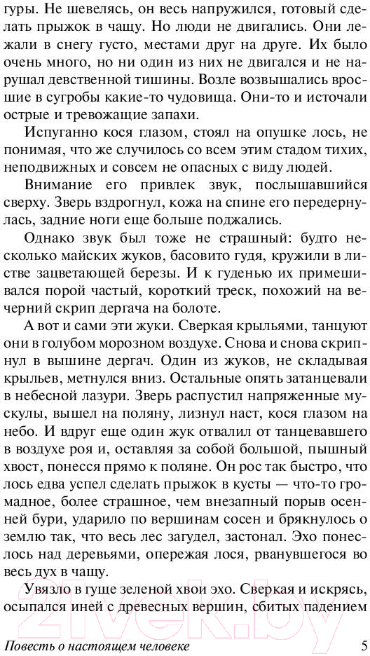 Художественная книга АСТ Повесть о настоящем человеке (Полевой Б.Н.) — фото 6