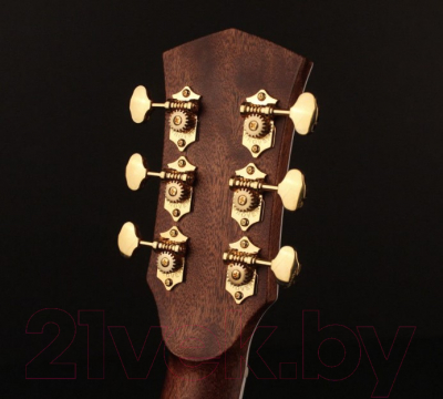 Акустическая гитара Cort Gold-D8-WCASE-NAT (с чехлом)