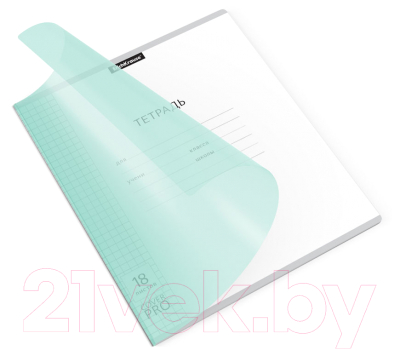 Изображение товара Тетрадь Erich Krause Классика CoverPrо Pastel / 56364 (18л, клетка)