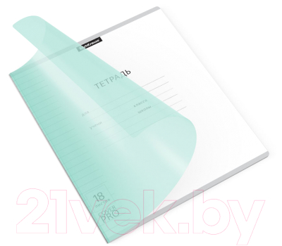 Изображение товара Тетрадь Erich Krause Классика CoverPrо Pastel / 56365 (18л, линейка)