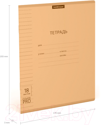 Изображение товара Тетрадь Erich Krause Классика CoverPrо Neon / 56369 (18л, линейка)