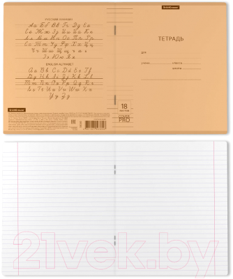 Изображение товара Тетрадь Erich Krause Классика CoverPrо Neon / 56369 (18л, линейка)