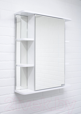 Шкаф с зеркалом для ванной Домино Оазис-2 60 Идеал