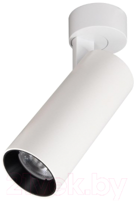 

Спот Citilux, Тубус CL01B120