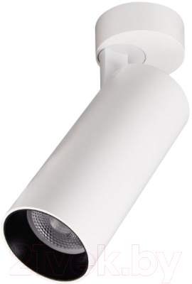 

Спот Citilux, Тубус CL01B180