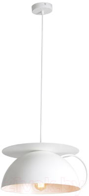 Потолочный светильник Lussole Loft LSP-9559